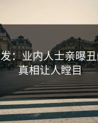 Pixiv突发：业内人士亲曝丑闻全程，真相让人瞠目