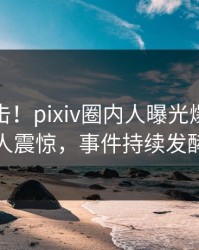 今晚直击！pixiv圈内人曝光爆料，令人震惊，事件持续发酵