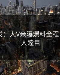 Pixiv突发：大V亲曝爆料全程，真相让人瞠目