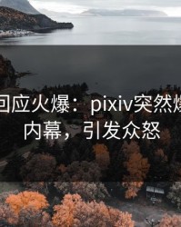 当事人回应火爆：pixiv突然爆出内幕内幕，引发众怒