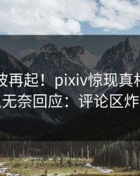 本周风波再起！pixiv惊现真相，圈内人无奈回应：评论区炸裂