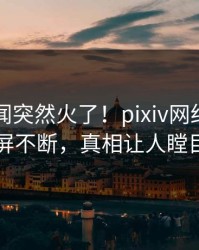 昨晚秘闻突然火了！pixiv网红居然刷屏不断，真相让人瞠目
