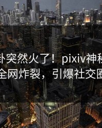 实时八卦突然火了！pixiv神秘人居然全网炸裂，引爆社交圈
