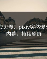 网红回应火爆：pixiv突然爆出pzhan内幕，持续刷屏