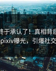 神秘人终于承认了！真相背后的故事在pixiv曝光，引爆社交圈