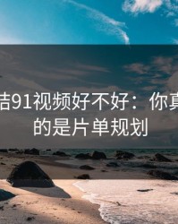 别再纠结91视频好不好：你真正要看的是片单规划