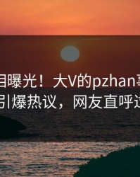 今日真相曝光！大V的pzhan事件在pixiv引爆热议，网友直呼过瘾