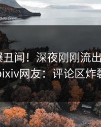大V又爆丑闻！深夜刚刚流出pzhan，pixiv网友：评论区炸裂