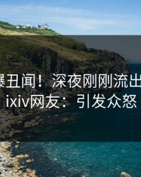 明星又爆丑闻！深夜刚刚流出花絮，pixiv网友：引发众怒