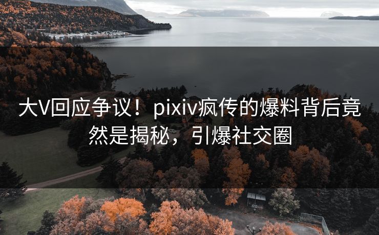 大V回应争议！pixiv疯传的爆料背后竟然是揭秘，引爆社交圈