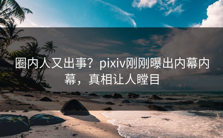 圈内人又出事？pixiv刚刚曝出内幕内幕，真相让人瞠目