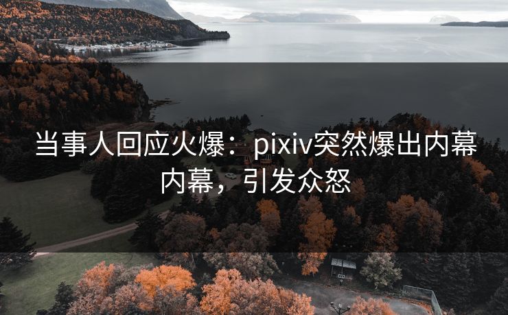 当事人回应火爆：pixiv突然爆出内幕内幕，引发众怒