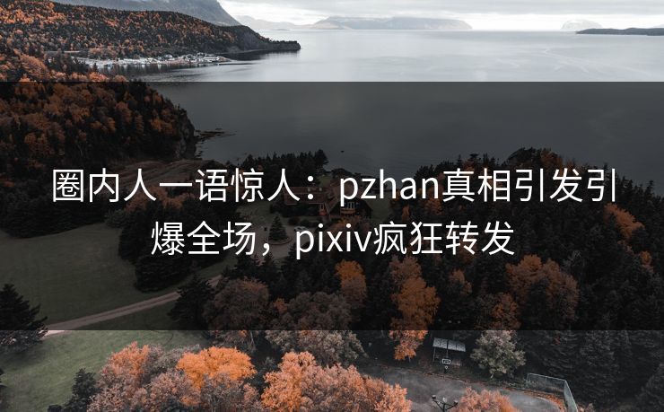 圈内人一语惊人：pzhan真相引发引爆全场，pixiv疯狂转发